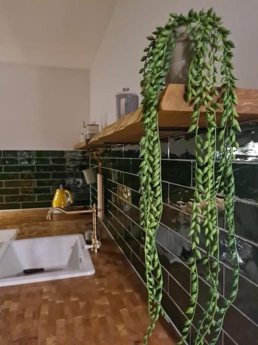 Uroczy Apartament Blisko Centrum - 10 Min Do Plazy Gdynia Dış mekan fotoğraf